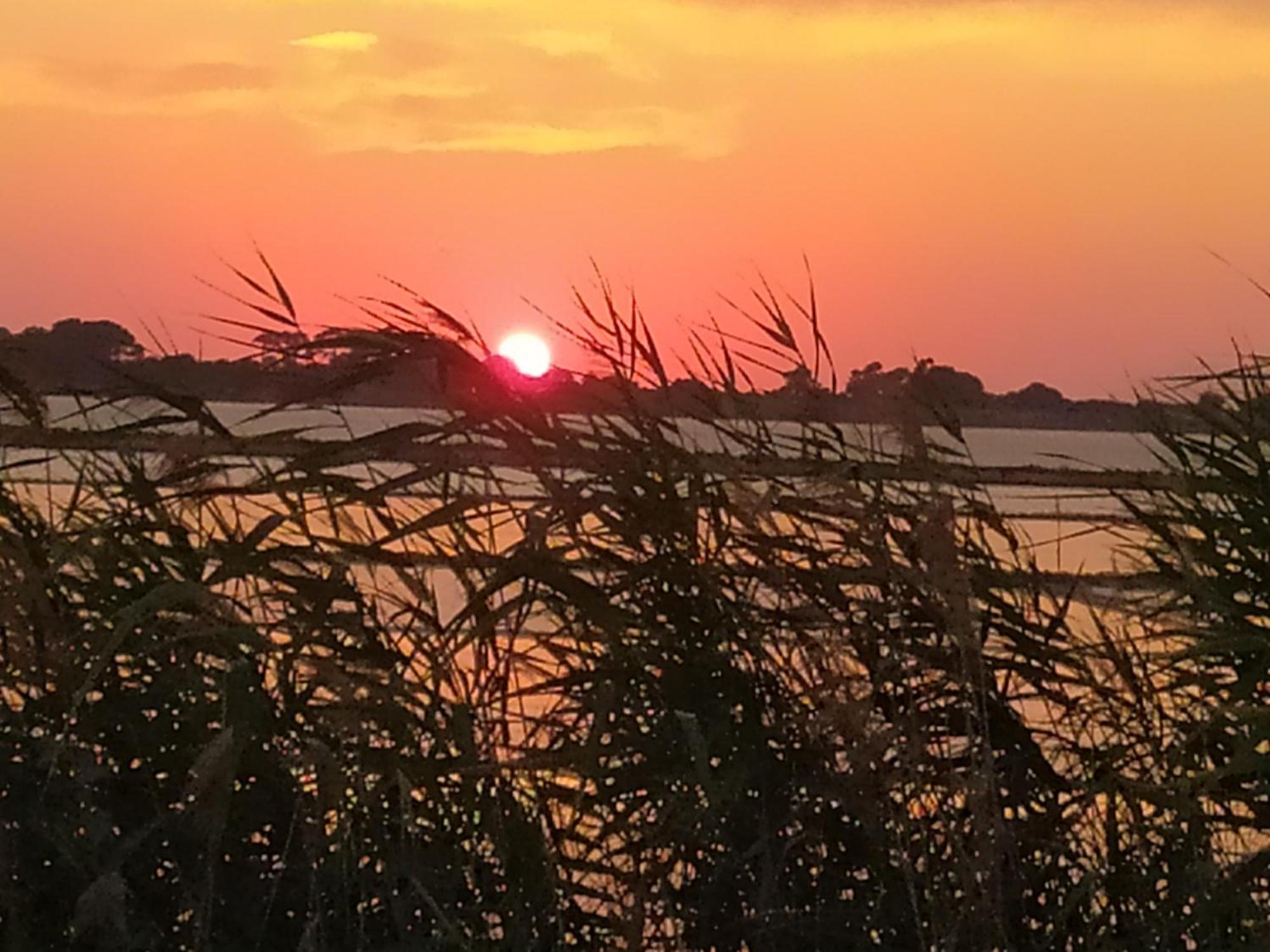 Sunrise Stagnone - Kitesurf Spot Panzió Marsala Szoba fotó
